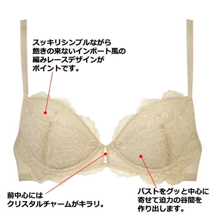 WACOAL（ワコール） サルート P-UP (Gカップ Hカップ Iカップ