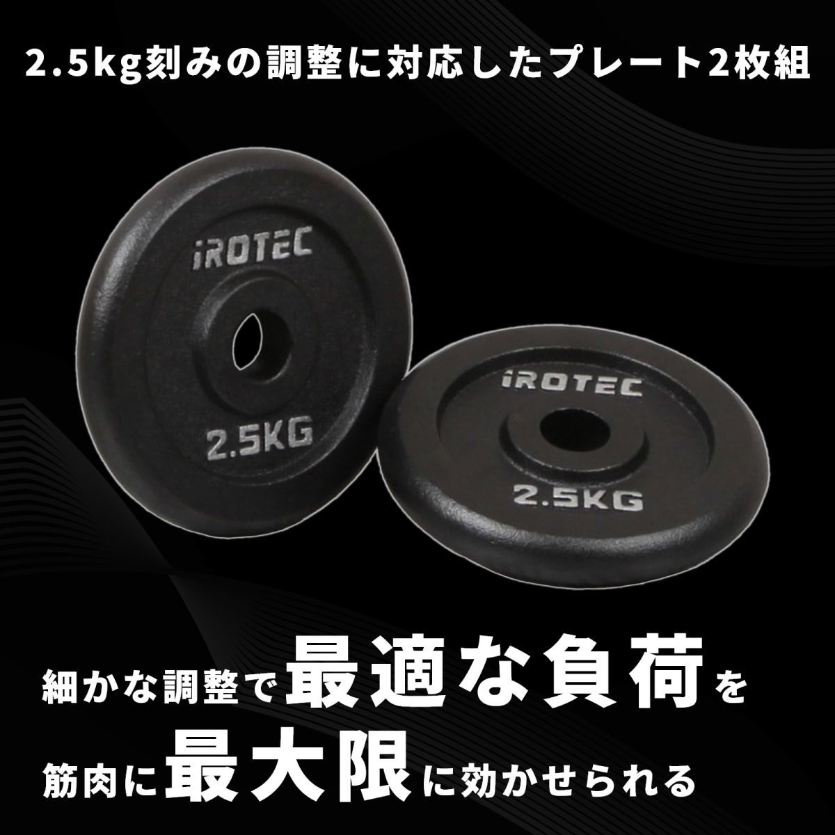 IROTEC（アイロテック） バーベル プレート アイアンプレート2.5KG [2