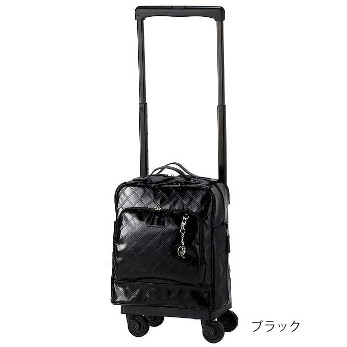 SWANY（スワニー） キャリーバッグ 公式 ショッピングカート キャリー