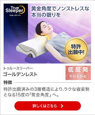 トゥルースリーパー（True Sleeper） 低反発マットレス ライト3.5