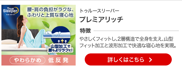 トゥルースリーパー（True Sleeper） 低反発マットレス ライト3.5