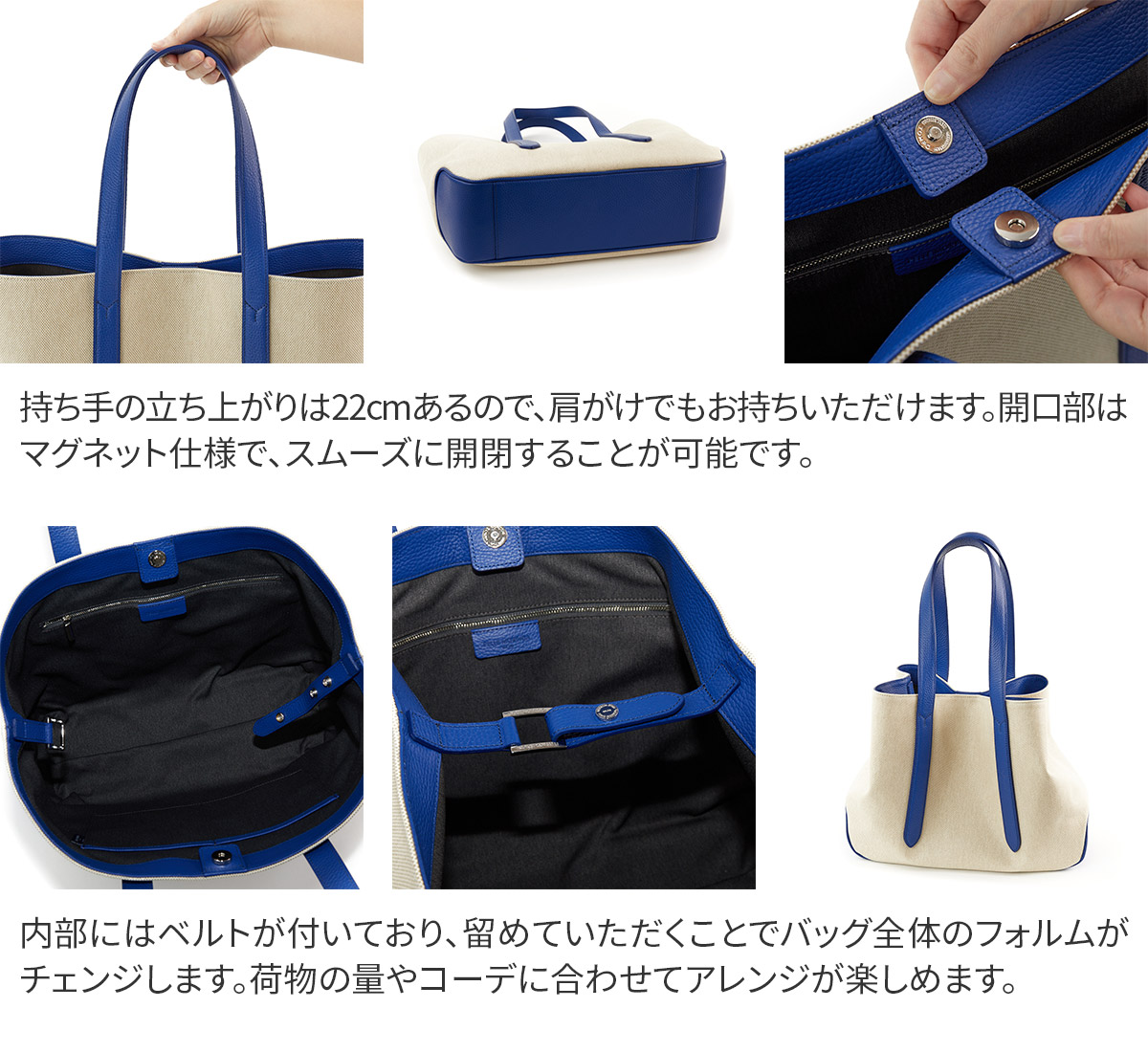 PELLE MORBIDA（ペッレ モルビダ） 3年保証＋ケアセット付 Cinque