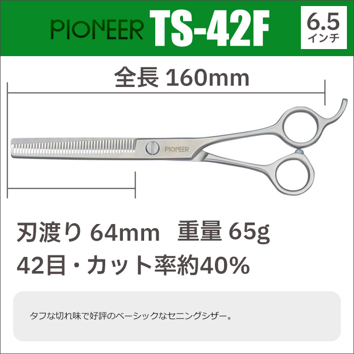 pioneer-ts42f-1.jpg