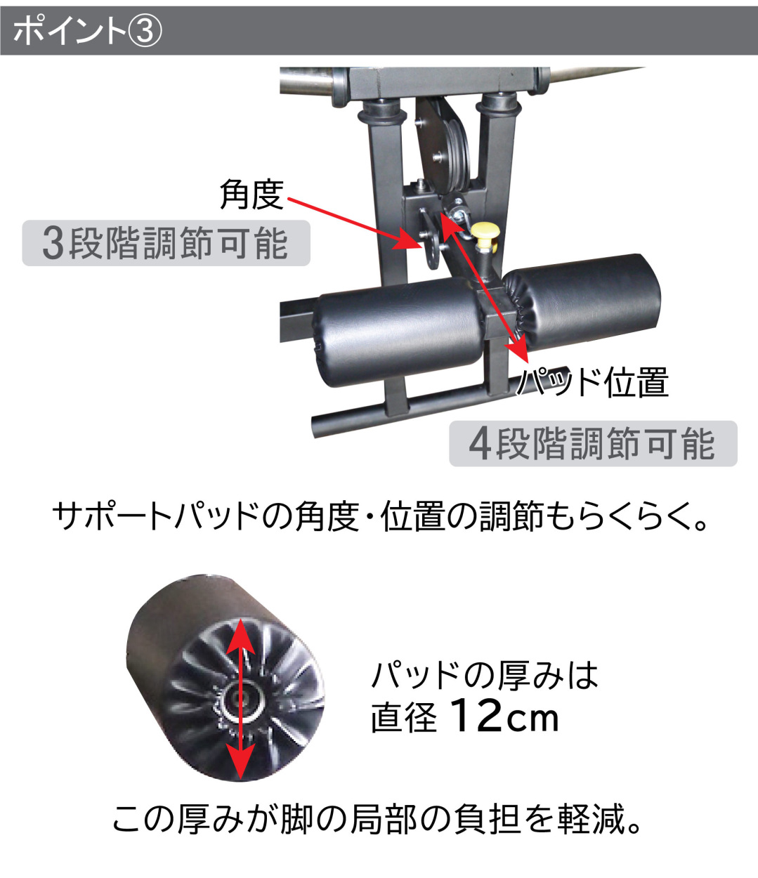 WILD FIT（ワイルドフィット） スミスパワーラック (Φ50) COMING