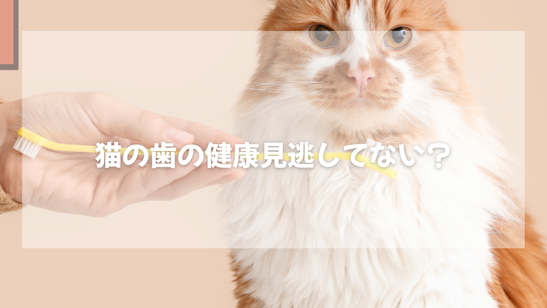 LIFAXIA 【にゃんゲート】 ペットゲート 猫 島袋商店