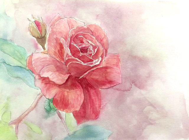 花を水彩画で描いてみよう！ | 京都 二条城前 水彩画教室 紫水庵