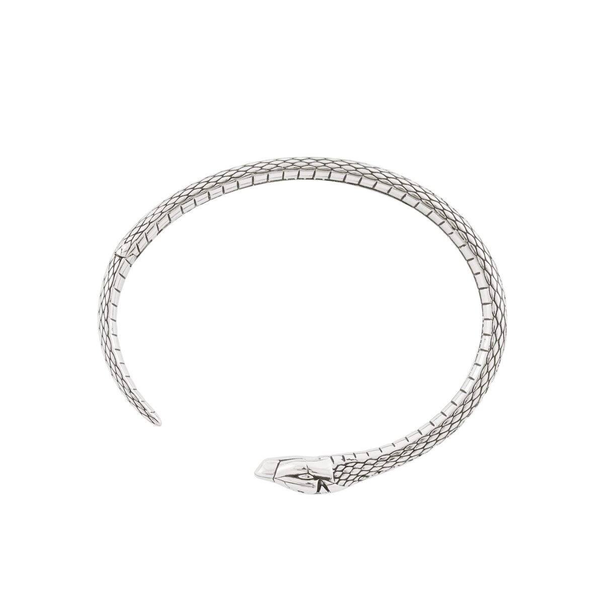 Vivienne Westwood（ヴィヴィアン・ウエストウッド）から、⺒年を記念