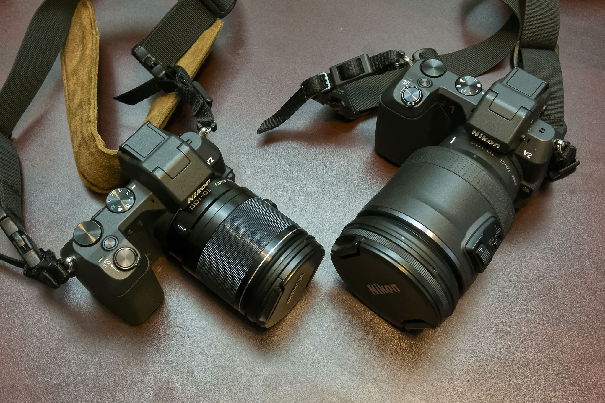 1 Nikon 10-100mm f/4-5.6 Hands-on Review - Small Sensor