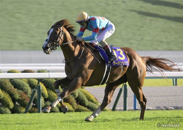 菊花賞】名門牝系からまた1頭G1馬誕生！アーバンシックが菊の大輪を