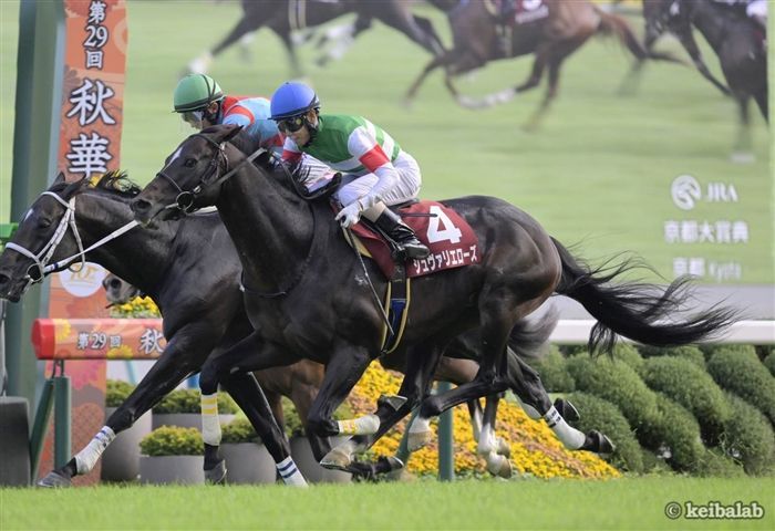 京都大賞典】1番人気が勝てないレース！3つの共通項を満たす妙味