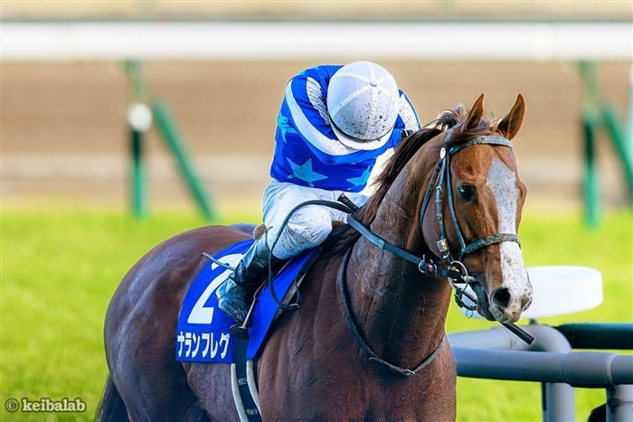 高松宮記念】丸田騎手に聞く！巻き返し狙う昨年の王者ナランフレグの