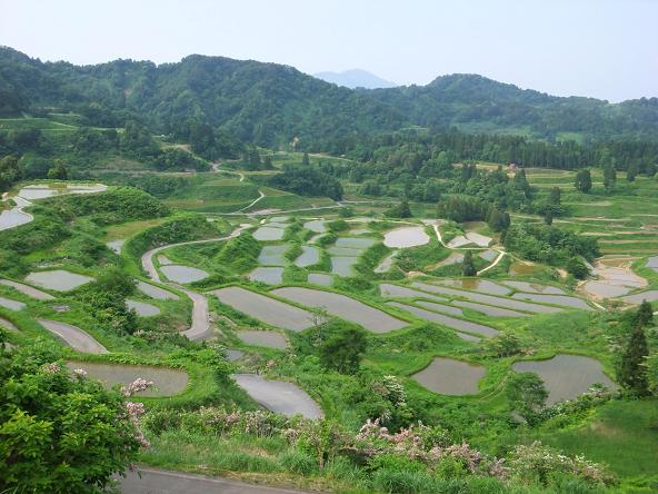 星峠の棚田 - 雪国観光圏
