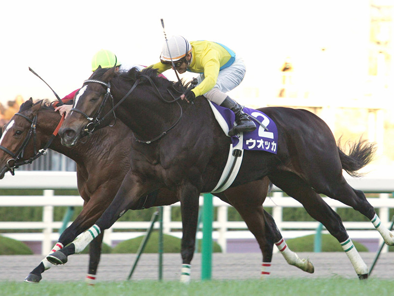 ウオッカが主役、阪神JFの衝撃。伏兵から名牝への道を歩み始めた一戦