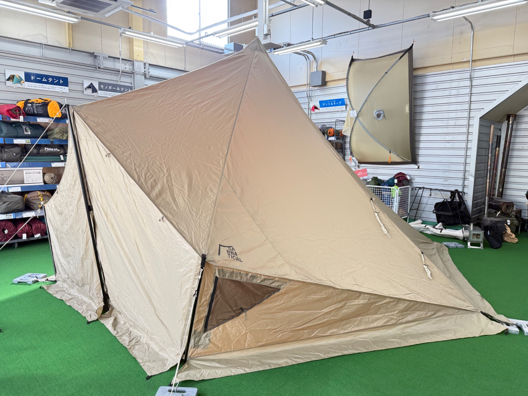 ゼインアーツの兄弟分⁉サバティカルの「モーニンググローリー」のご