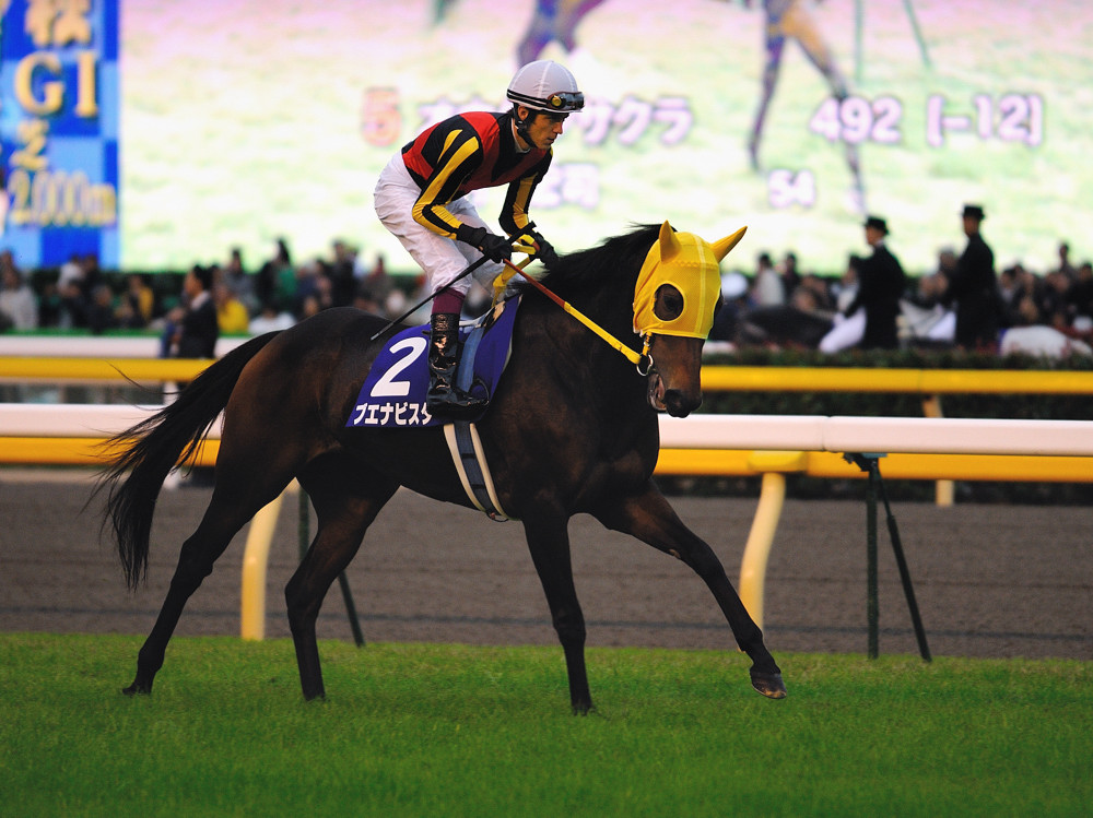 ブエナビスタ☆天皇賞（秋）V！: スペ＆スペコ追っかけ？日記