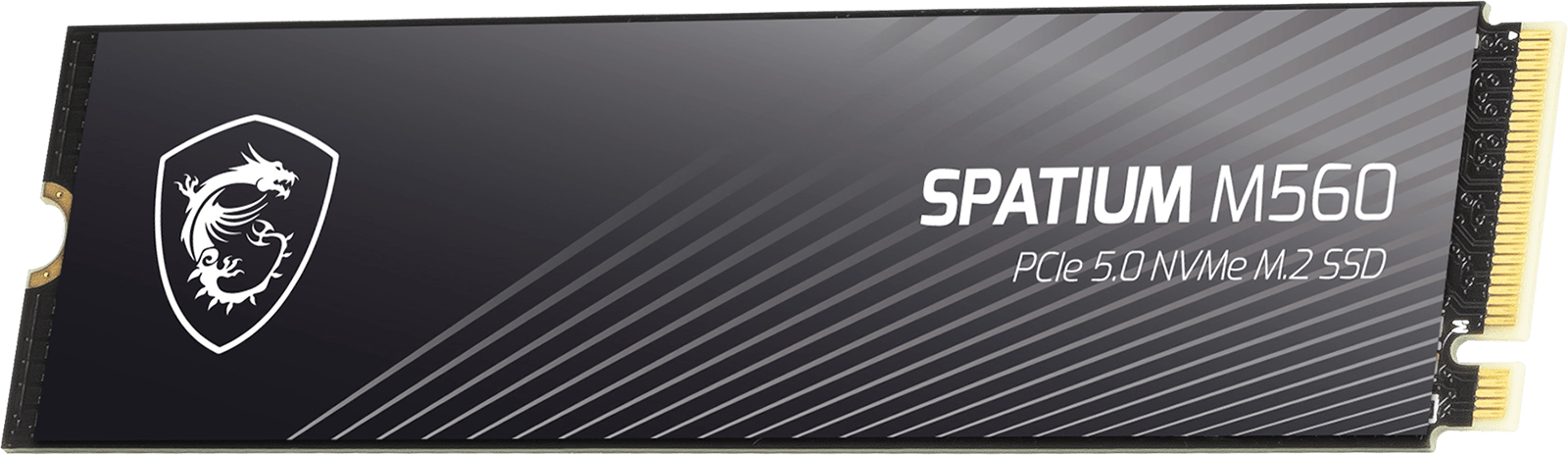 SPATIUM M560 PCIe 5.0 NVMe M.2