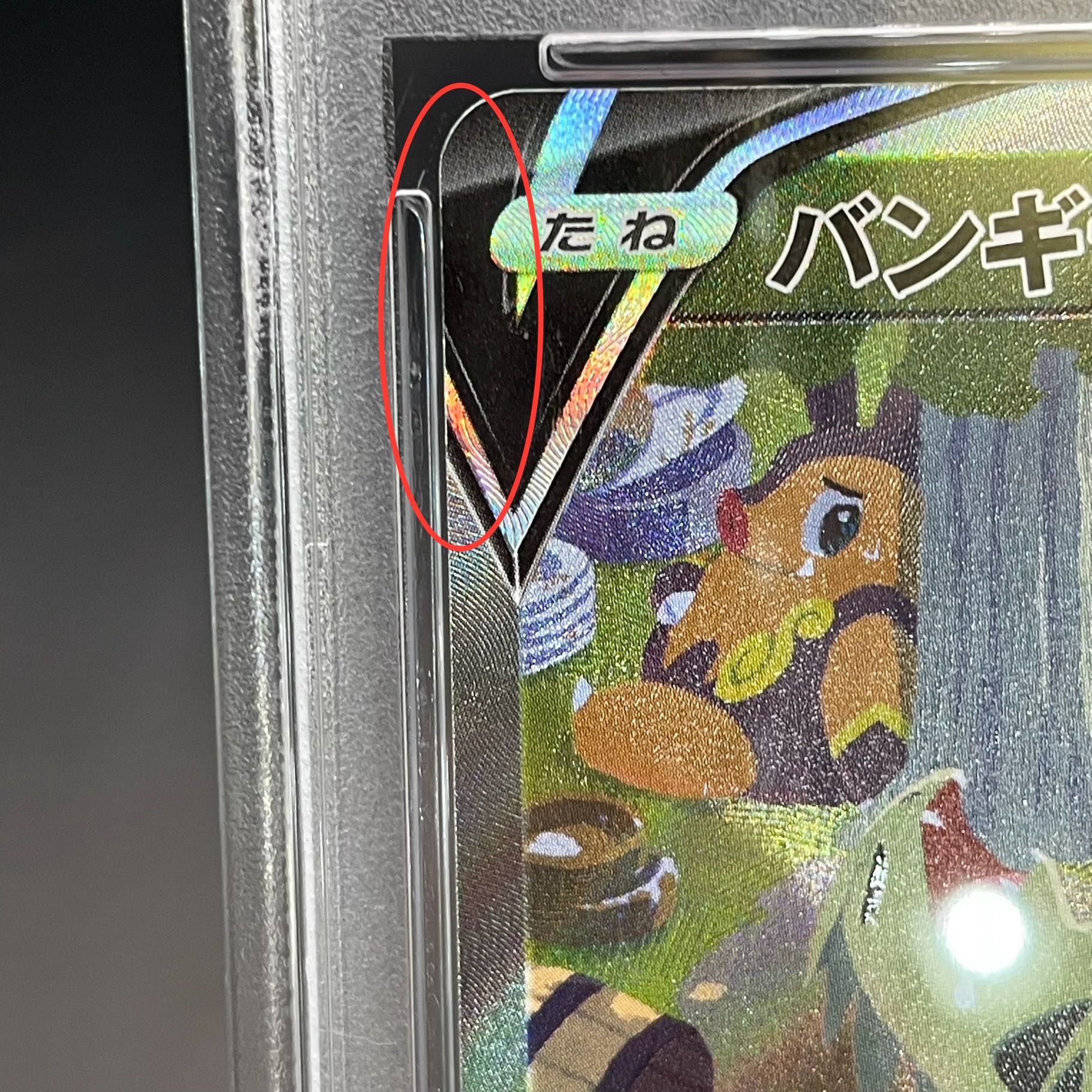 PSA10】バンギラスV SR 077/070 1枚の通販 土日祝休@magi公式
