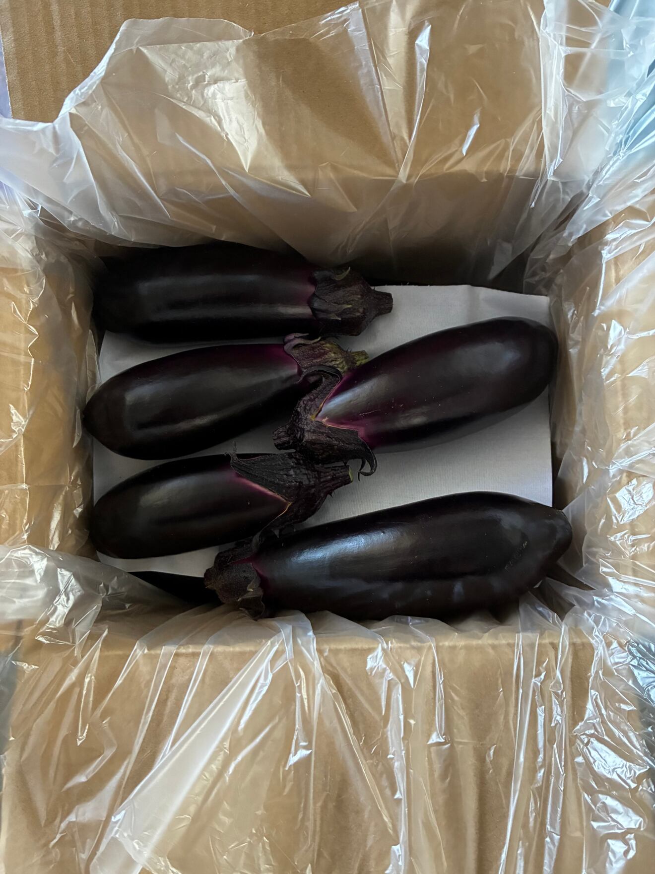 🍆まっこと感動の鮮度‼️朝採れなす1kg（約10本）🍆収穫即梱包🌟極上