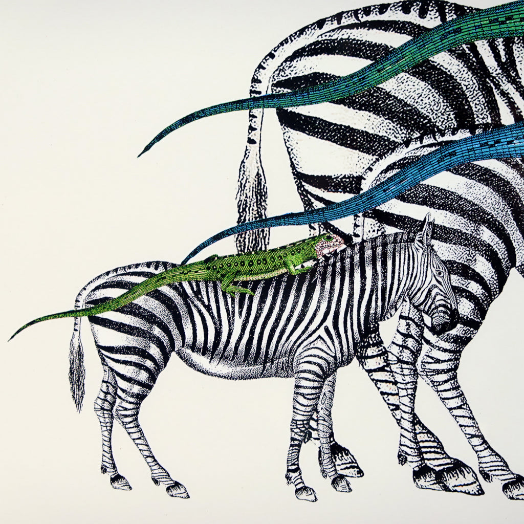 ポスター アートフレーム シマウマ トカゲ Zebras and Lizards Old