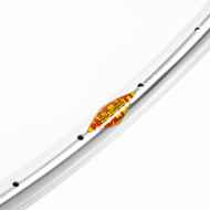 PACENTI* forza classico rim (silver) - BLUE LUG ONLINE STORE