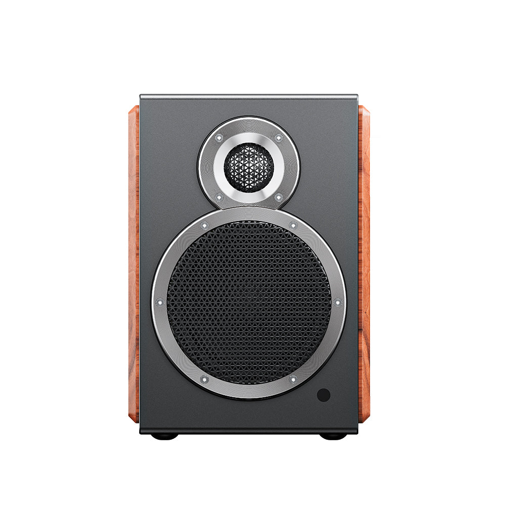 FIIO SA1 Black White FIO-SA1-B FIO-SA1-W – エミライダイレクトストア