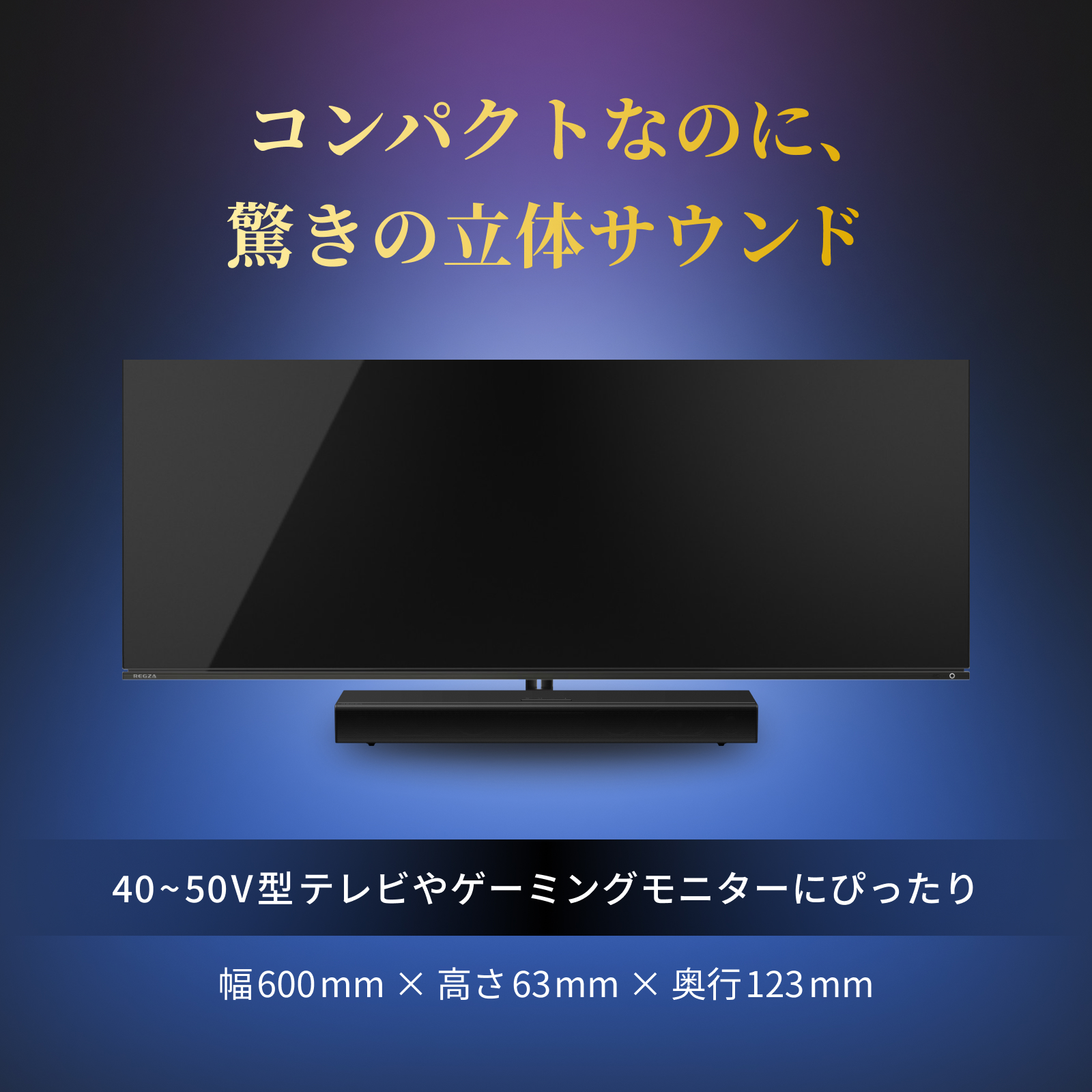 レグザ オンラインストア / レグザ サウンドシステム 形名：RA-B100