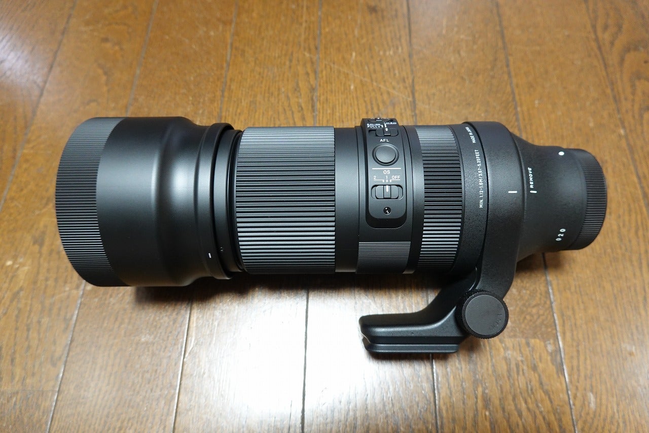 来たよ！SIGMA 100-400mm F5-6.3 DG DN OS Eマウント | tacaの写真