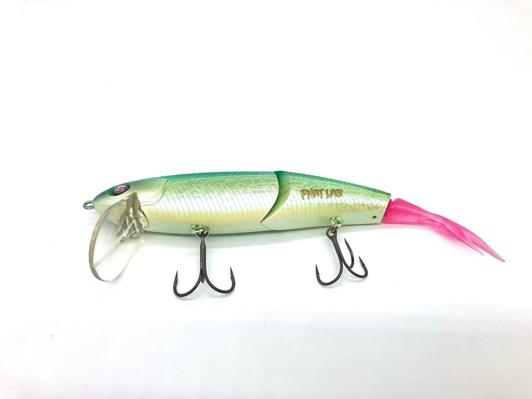 3年振りのネコソギDSR『FLカラー』✨ | Fish! tackle shopのブログ