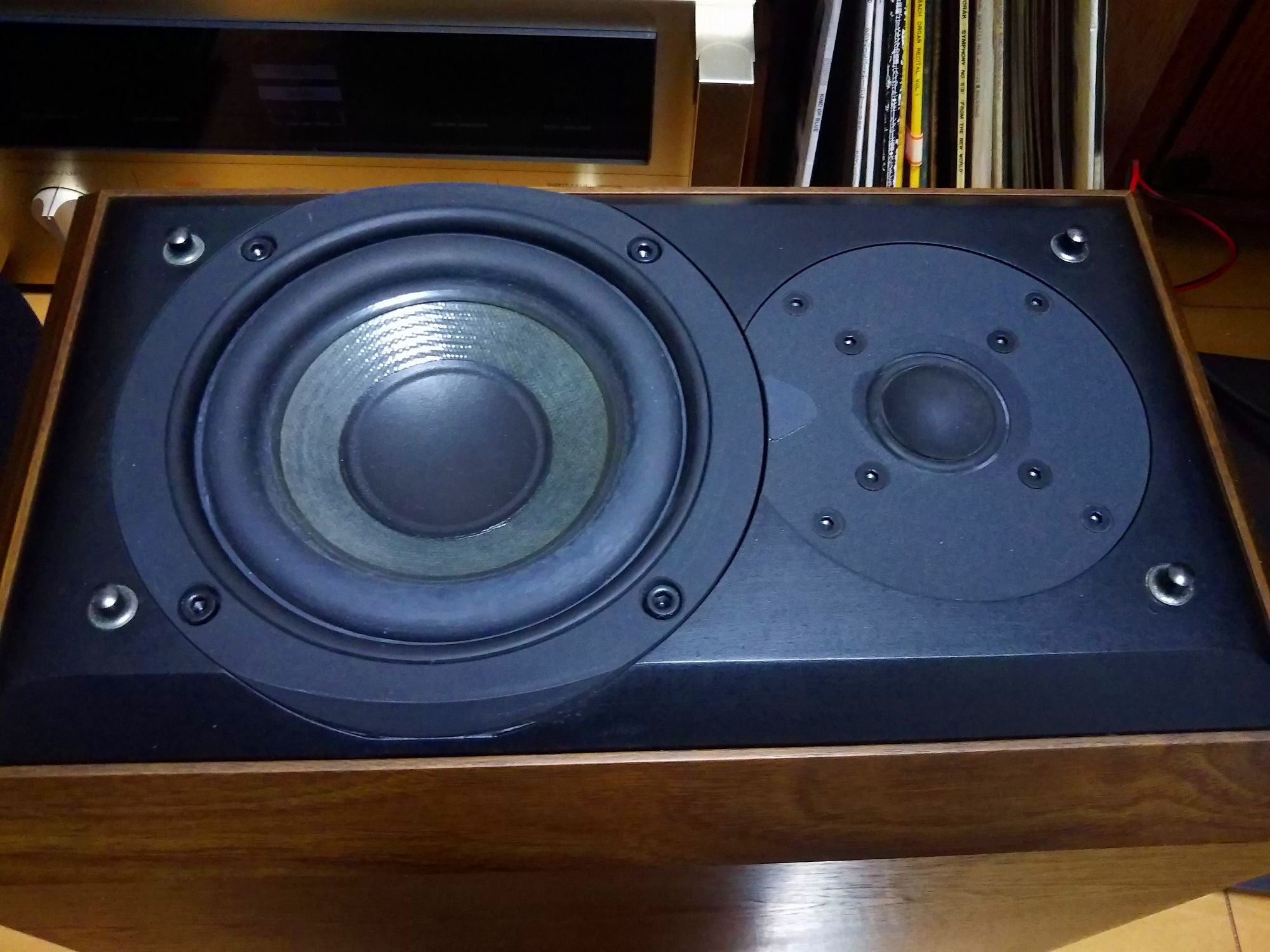 KENWOOD LS-1001を弄りたいの～ | うにとジムランといきものたちとの