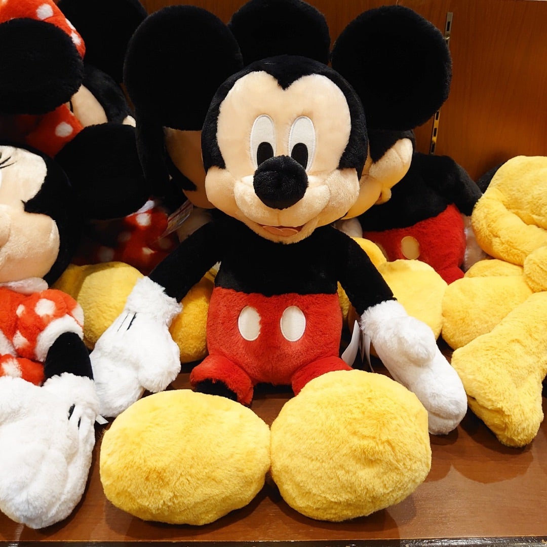 ふわふわな肌触り♡ 東京ディズニーリゾート ミッキー・ミニー