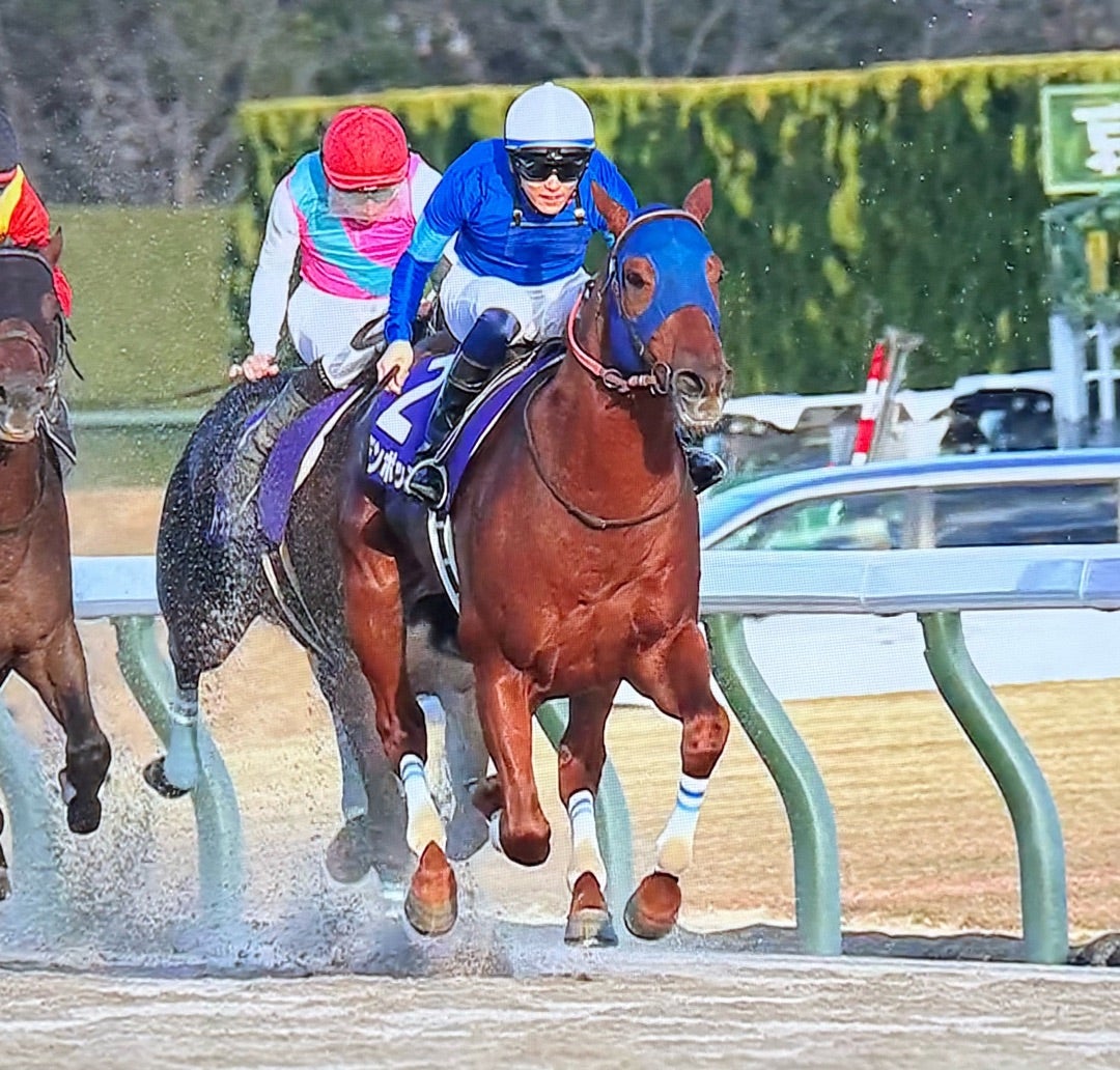 レモンポップ ヒーロー列伝制作決定！ダート馬は16年ぶり | ぐりぐり君