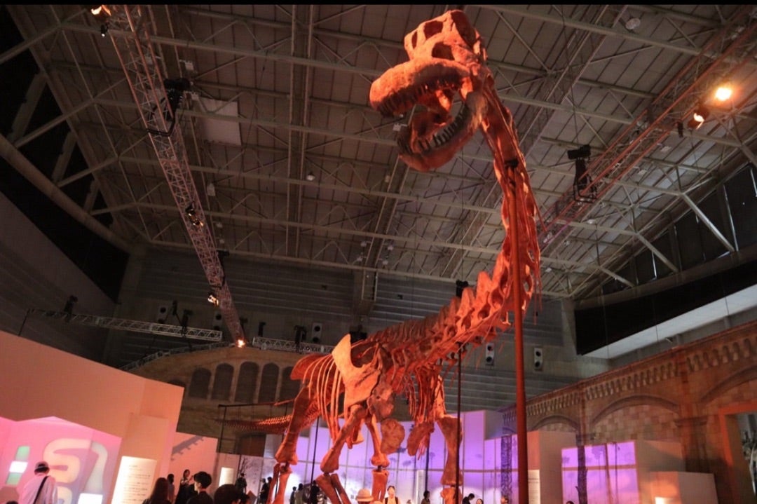 ファミリアの恐竜コラボバックが可愛い！巨大恐竜展 | ディズニー