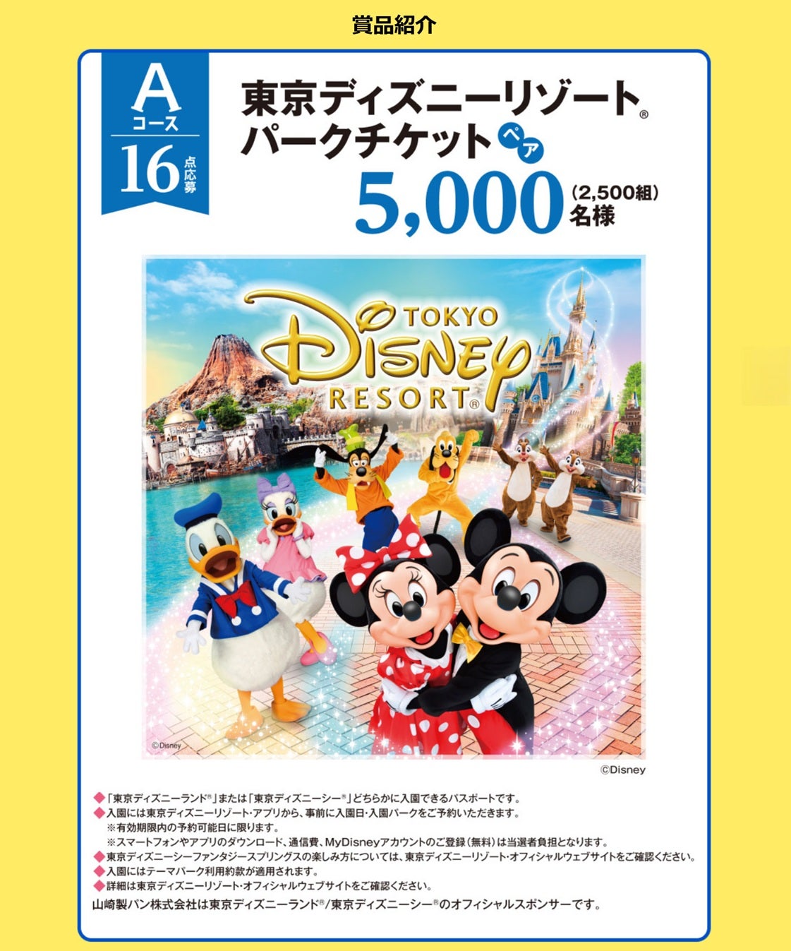 ディズニー | 森のクマ（ディズニー大好き一家）