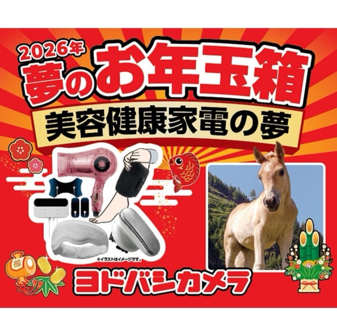 ヨドバシカメラ】夢のお年玉箱 美容健康家電の夢2026ネタバレ