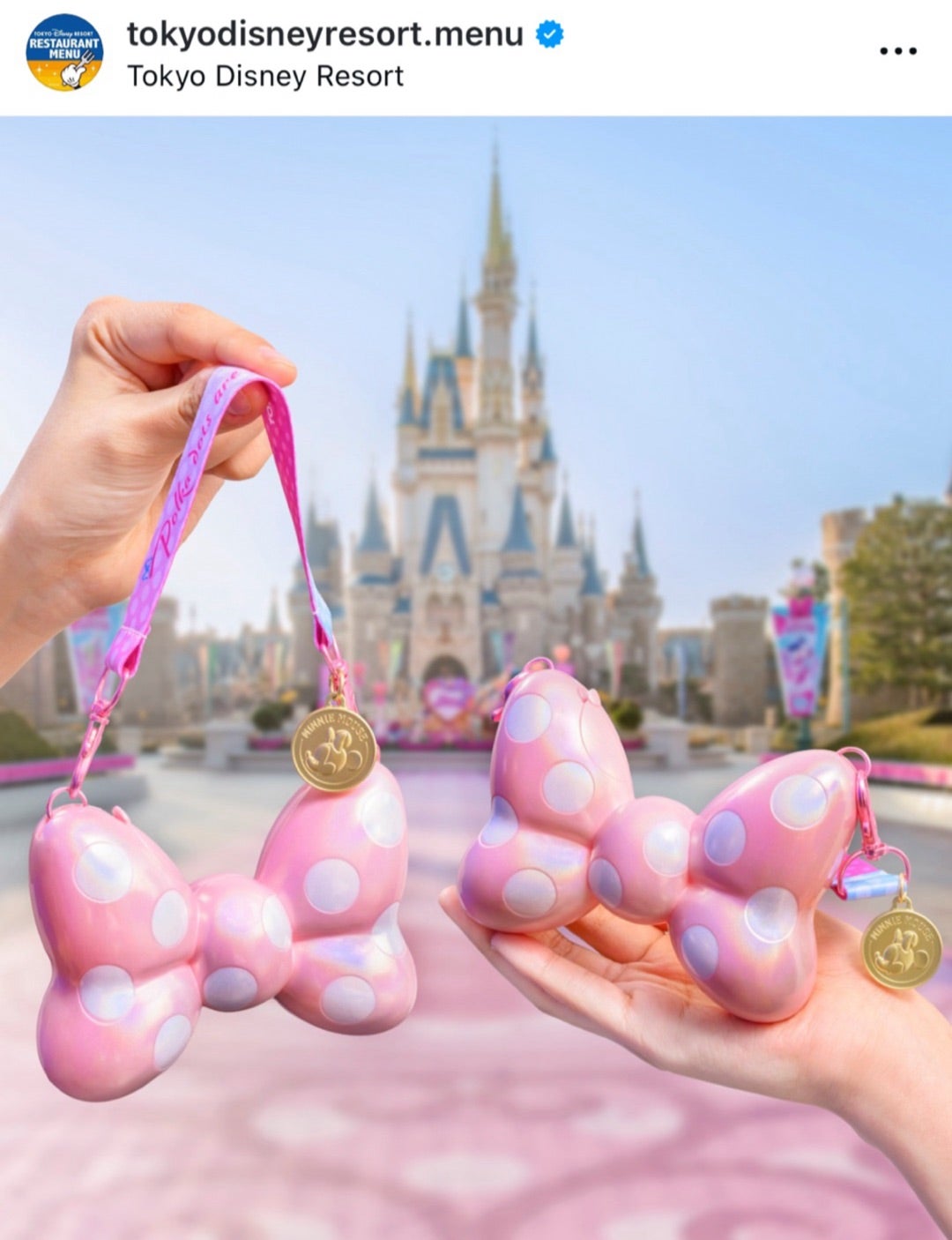 速報】ミニーのパルパルーザ♡グミスナックケースが可愛すぎる