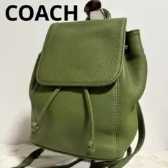 2026年最新】coAcH リュック メンズ グリーンの人気アイテム - メルカリ