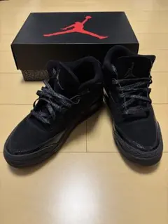 2026年最新】Jordan 3 black catの人気アイテム - メルカリ