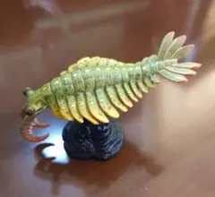 2026年最新】海洋堂 国立科学博物館の人気アイテム - メルカリ