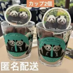 2026年最新】シャオシャオ レイレイ カップの人気アイテム - メルカリ