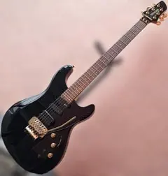 2026年最新】サスティナー fernandesの人気アイテム - メルカリ