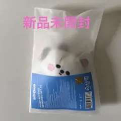 2026年最新】LESSERAFIM fimsclubの人気アイテム - メルカリ