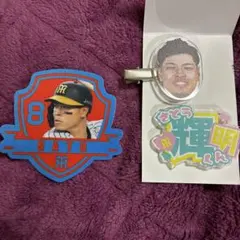 2026年最新】阪神佐藤輝明の人気アイテム - メルカリ