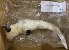 2026年最新】エレキング 幼体の人気アイテム - メルカリ