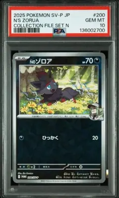 2026年最新】コレクションファイルセットnの人気アイテム - メルカリ