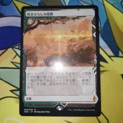 2026年最新】吹きさらしの荒野の人気アイテム - メルカリ