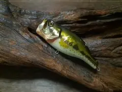 2026年最新】ランカーズクラブの人気アイテム - メルカリ