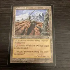 2026年最新】不毛の大地の人気アイテム - メルカリ