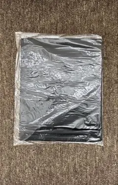 2026年最新】愛波あや 遮光の人気アイテム - メルカリ