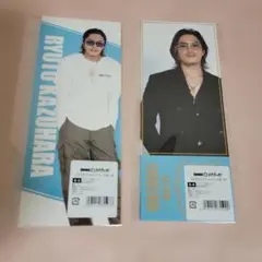 2026年最新】数原龍友 の人気アイテム - メルカリ