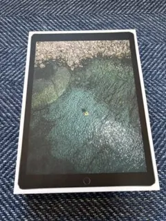 2026年最新】ipad ジャンク 12.9の人気アイテム - メルカリ